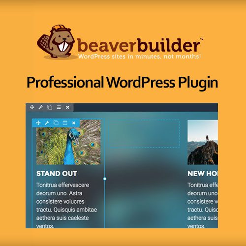 Beaver Builder pro plugin