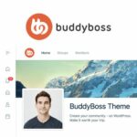 BuddyBoss theme