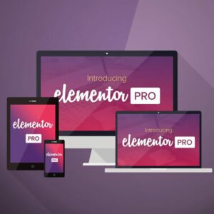 Elementor Pro page builder