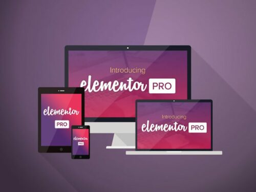 Elementor Pro page builder