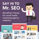 Mr SEO Theme