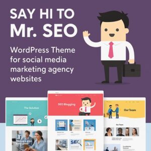 Mr SEO Theme