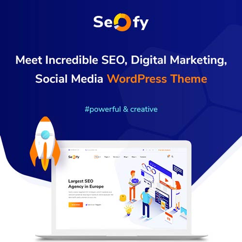 Seofy SEO & Digital Marketing Agency WordPress Theme