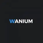 Wanium Devtools Club