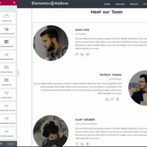 livemesh addons