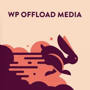 wp offload media devtools club