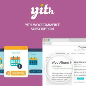yith woocommerce subscription premium Devtools