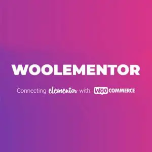 Woolementor Pro CoDesigner